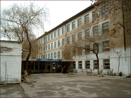 Общий вид школы